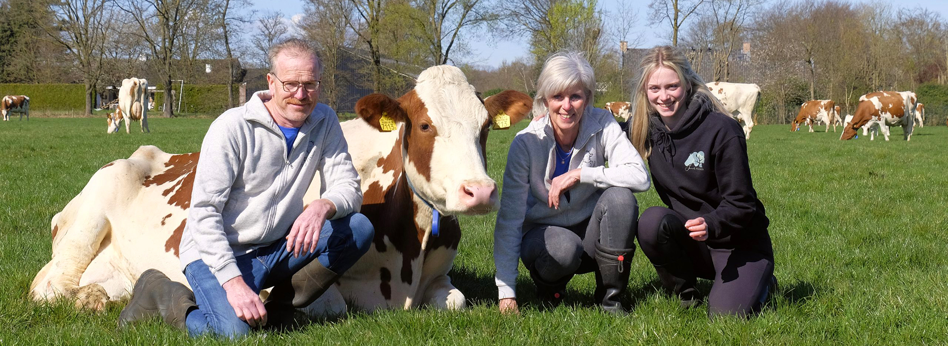 Boerderij Pouwer: ‘Aandacht voor de koeien en diergezondheid staat op één’