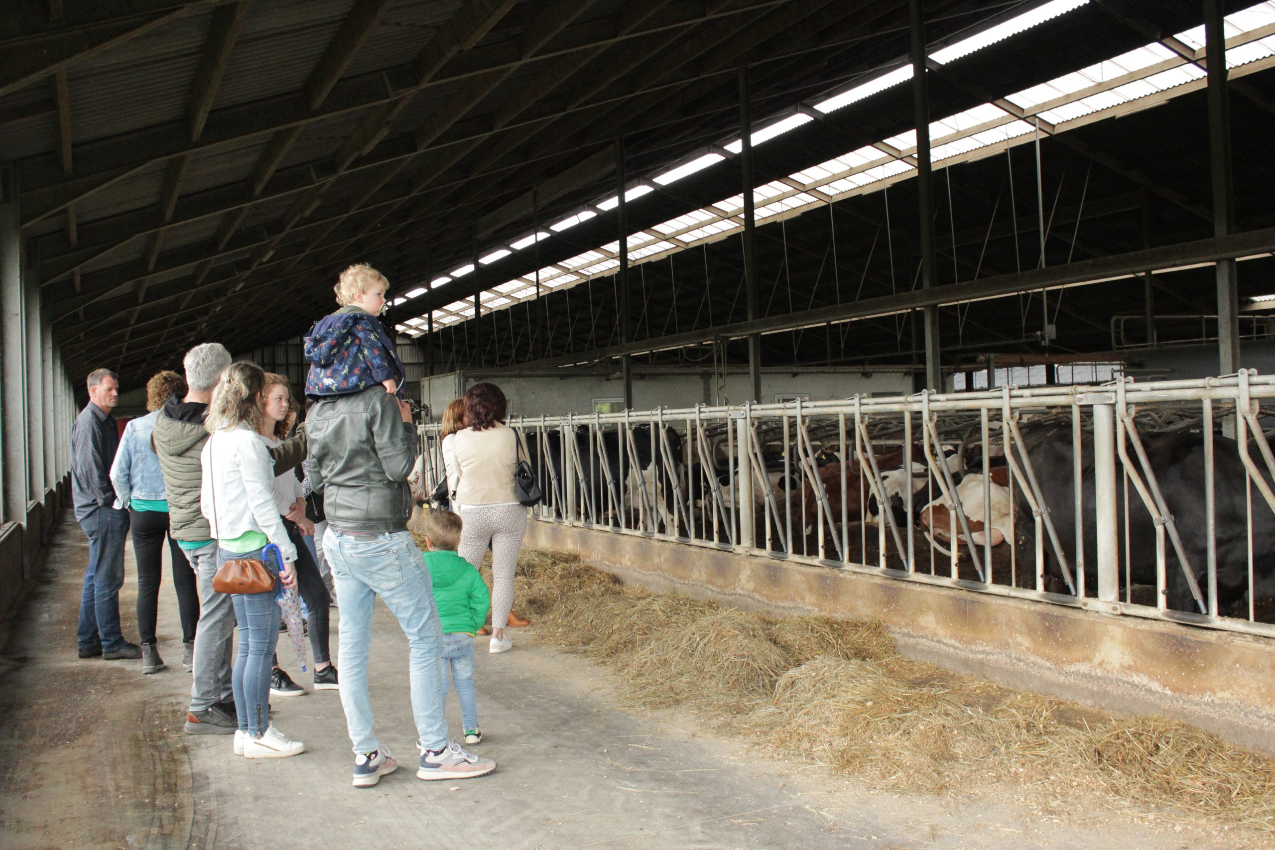 KIJK, PROEF & BELEEF de boerderij in Weert