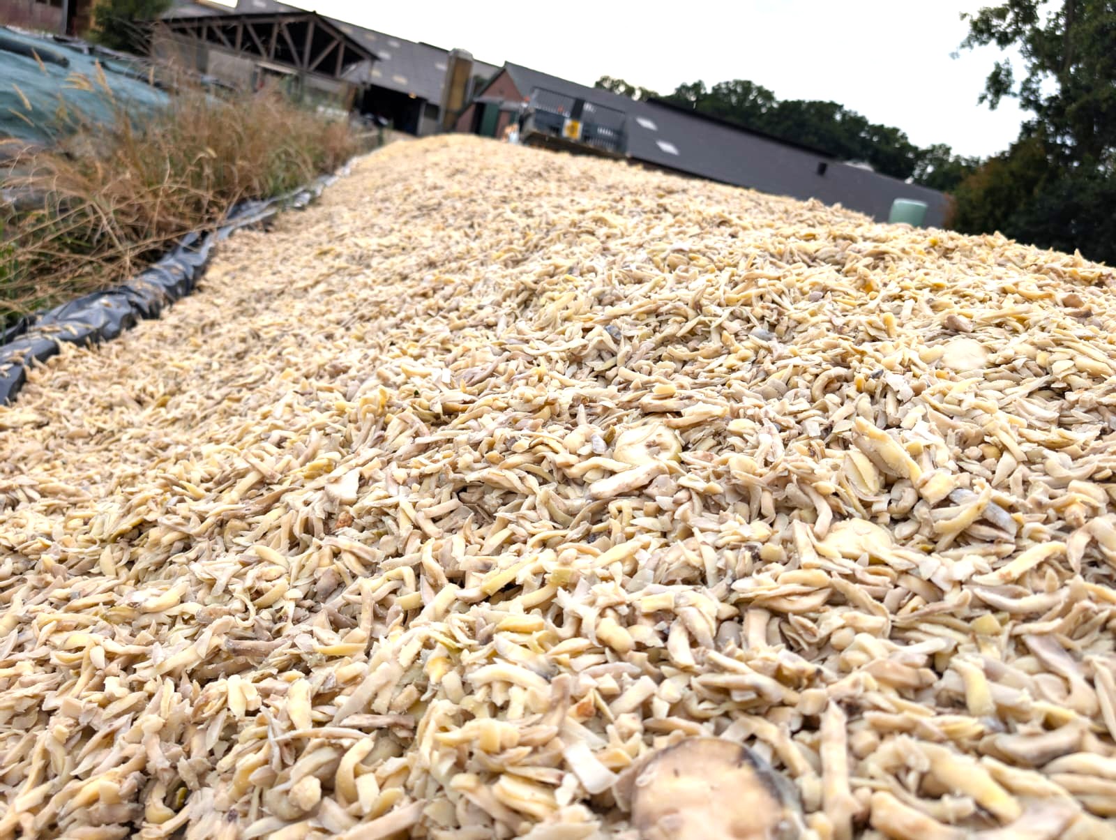 Alles voor goed voer en kringloop!