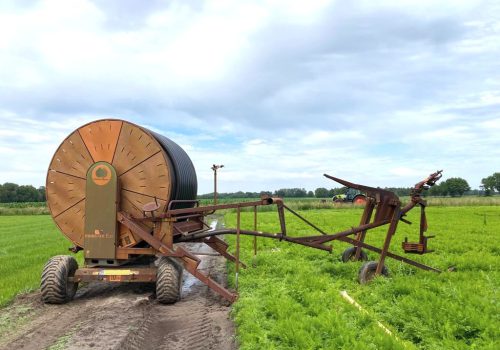 Waarom water helpt om gewassen gezond te houden