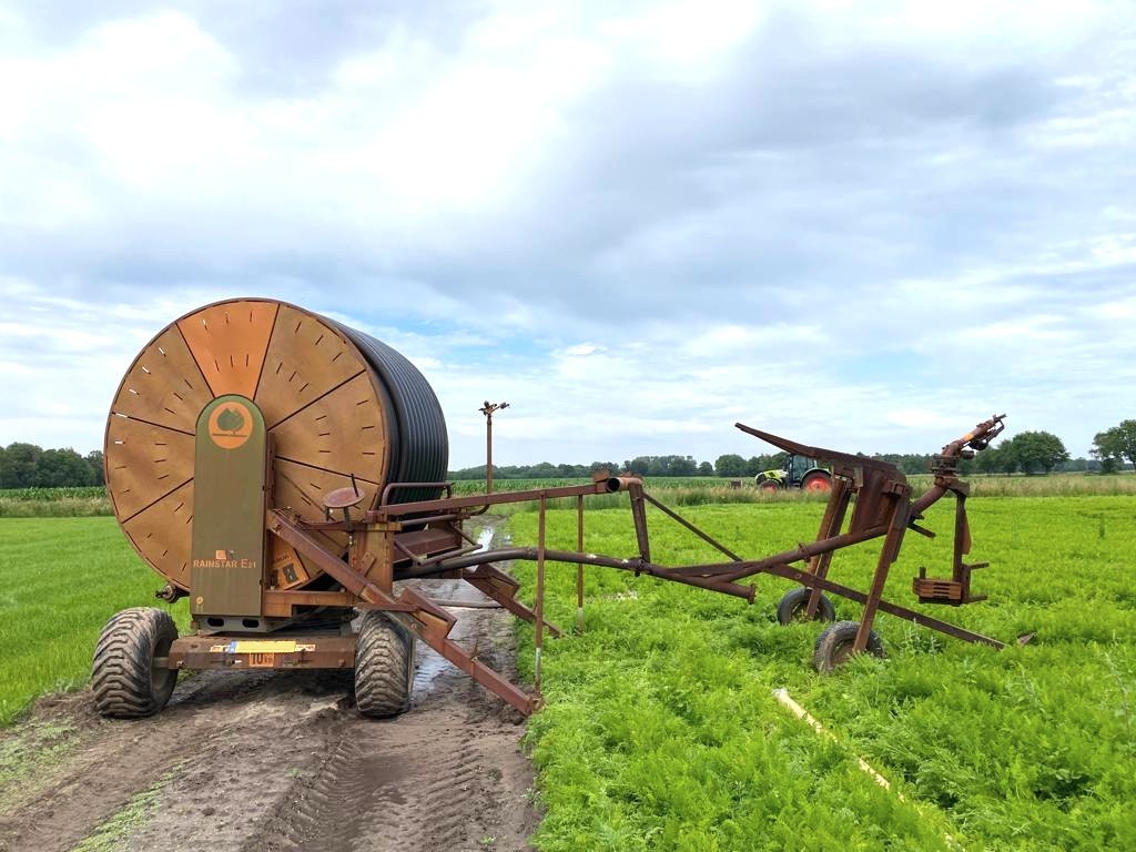 Waarom water helpt om gewassen gezond te houden