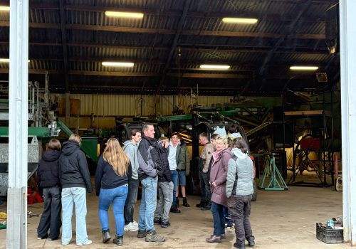 Leerlingen Biotechnicum ontdekken het boerenleven in Weert: van leliebollen tot melkgeiten